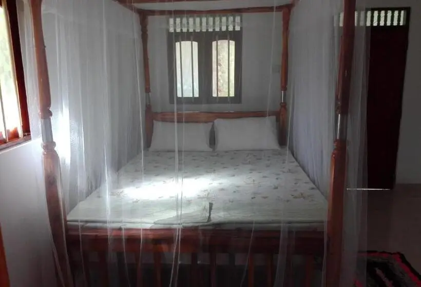 اتاق استاندارد سه نفره, Calm Garden Cabanas