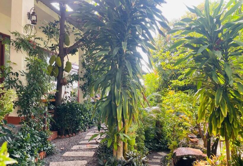 اتاق لوکس, Mui Ne Garden Hotel And Kite School