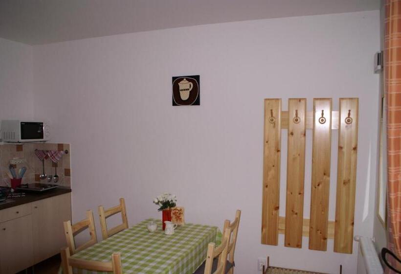 شقة غرفة واحدة, öregtölgy Panzio