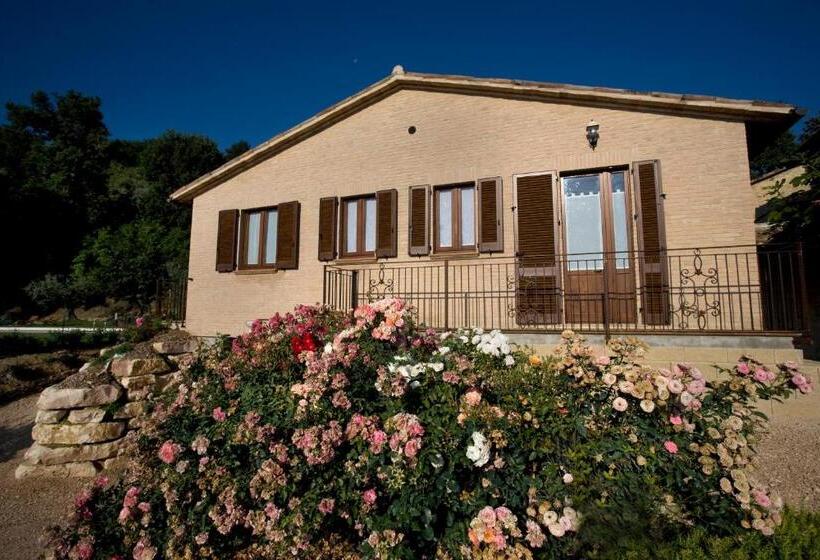 Апартаменты 1 Спальня с Террасой, Agriturismo Il Girasole