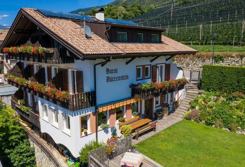 테라스 싱글룸, Garni Dürrenstein