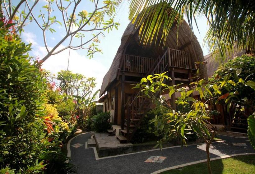 Номер Стандарт, Rambo Homestay