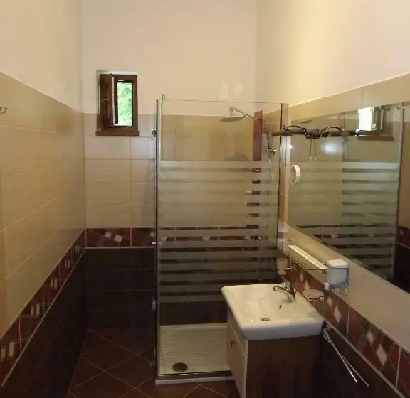 Standaardkamer met Balkon, Vila Silvia