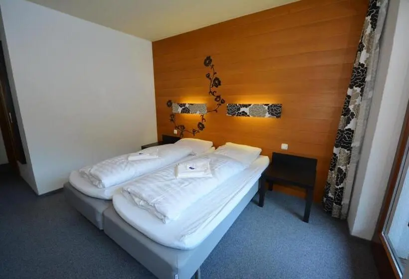 Standart Oda, Haus Thomas By Châtel Reizen