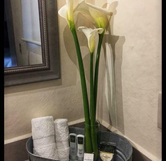 غرفة ديلوكس سرير كينج, Boutique Rancho San Jorge