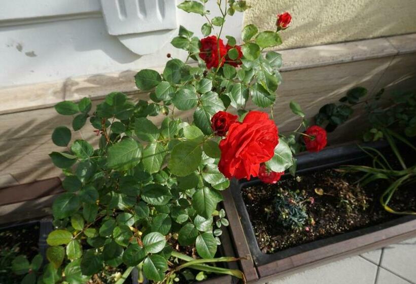 Номер Стандарт, Franken An Der Messe