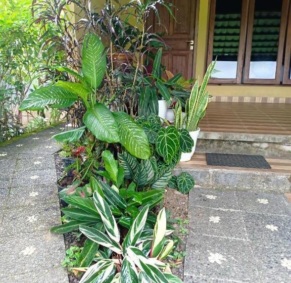 デラックストリプルルーム, Amartya Puri Green Cottages