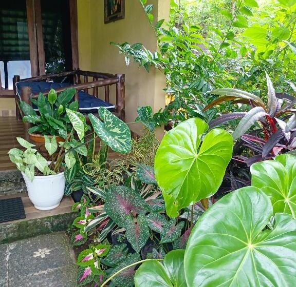 デラックストリプルルーム, Amartya Puri Green Cottages