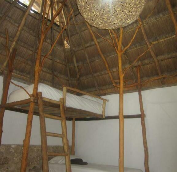 Cameră Familiară, Casa Mango