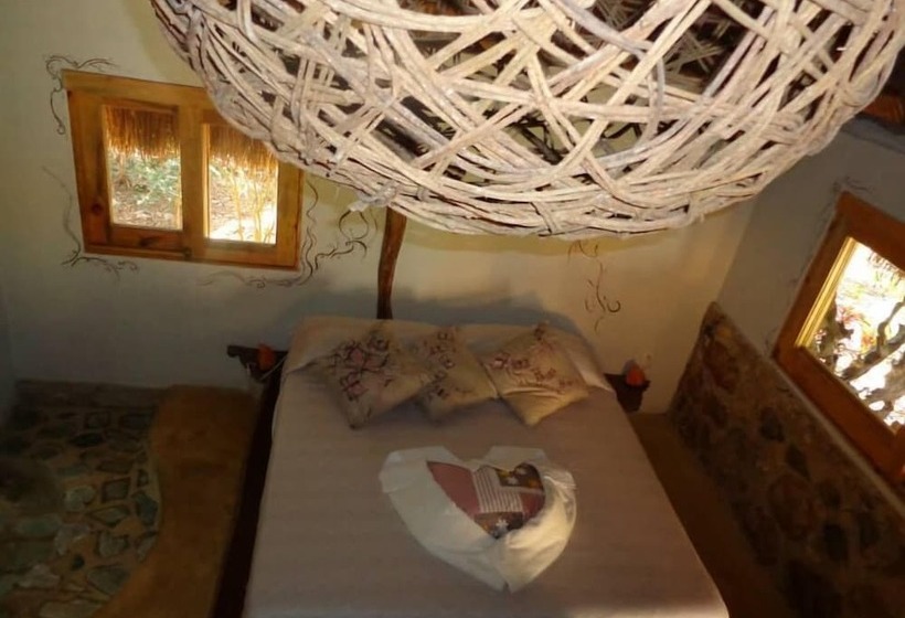 Cameră Familiară, Casa Mango