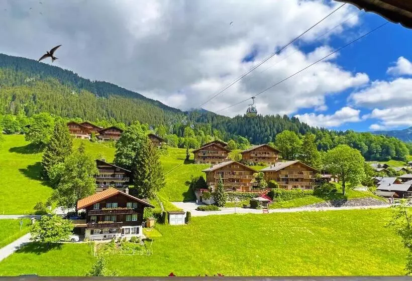 آپارتمان 1 خوابه, Bodmi