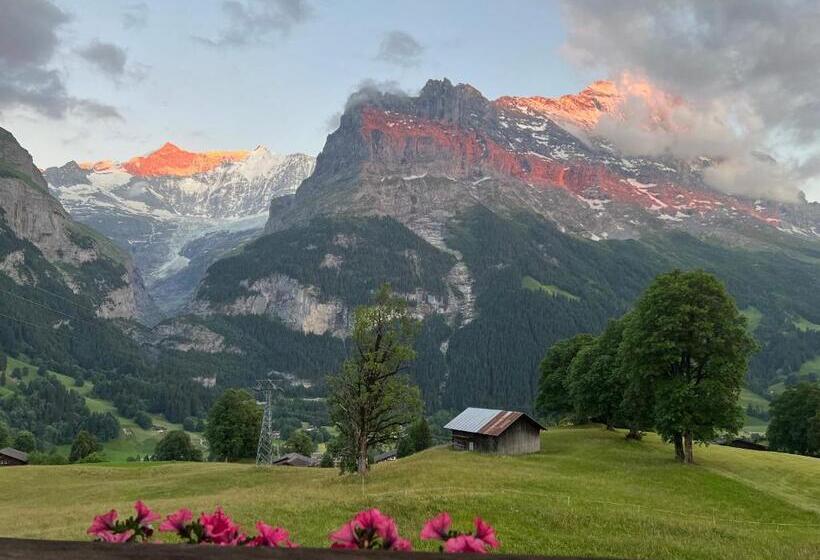 דירת שלושה חדרים, Bodmi