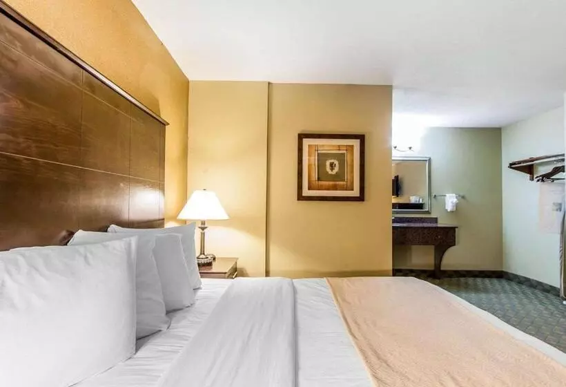 キングサイズベッドのスタンダードルーム, Quality Inn & Suites