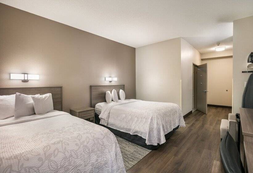 디럭스 룸, Red Roof Inn Plus+ Boston   Logan