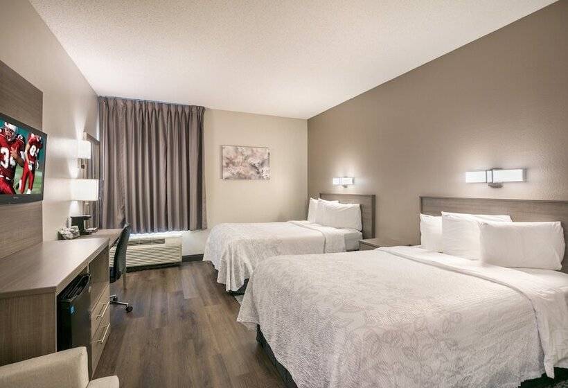 豪华房间, Red Roof Inn Plus+ Boston Logan