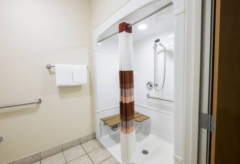 Quarto Deluxe, Red Roof Inn Plus+ Boston   Logan