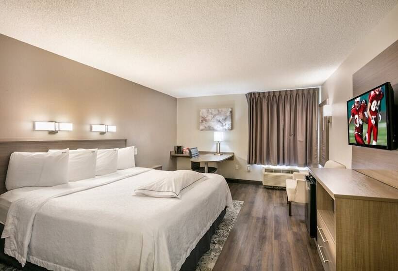 Quarto Premium, Red Roof Inn Plus+ Boston   Logan