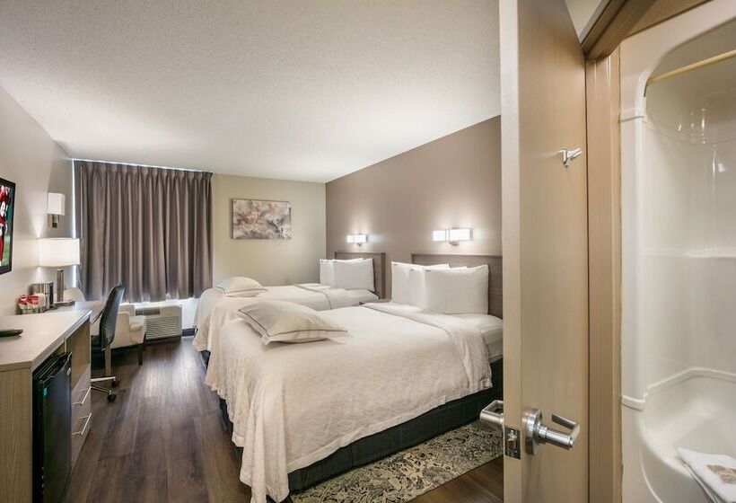 프리미엄 룸, Red Roof Inn Plus+ Boston   Logan