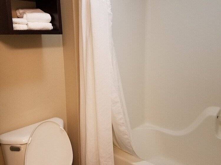 Люкс Адаптированный для Инвалидов, Staybridge Suites Indianapolis Fishers, An Ihg