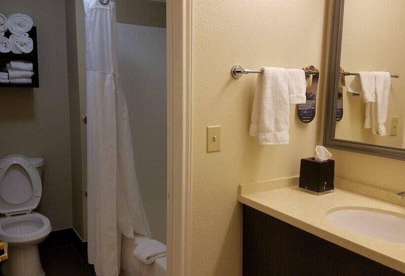 Люкс 2 Спальни, Staybridge Suites Indianapolis Fishers, An Ihg