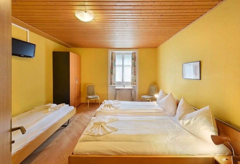 Номер Стандарт Трехместный, Waldhotel Unspunnen
