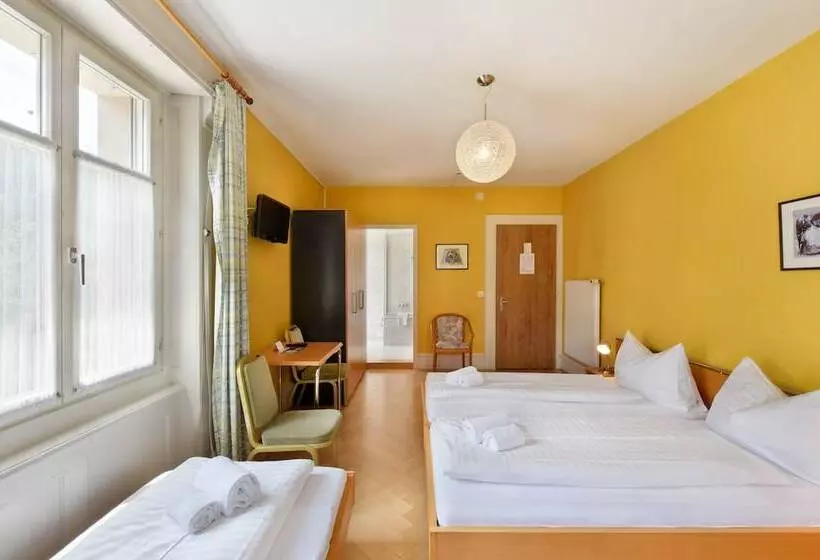 スタンダード４人部屋, Waldhotel Unspunnen