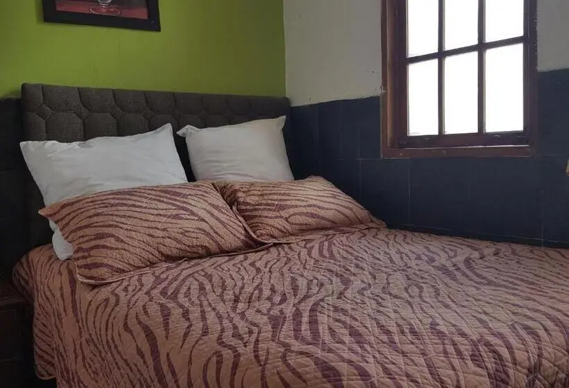 Basic Yhden Hengen Huone, Hostal Del Piamonte