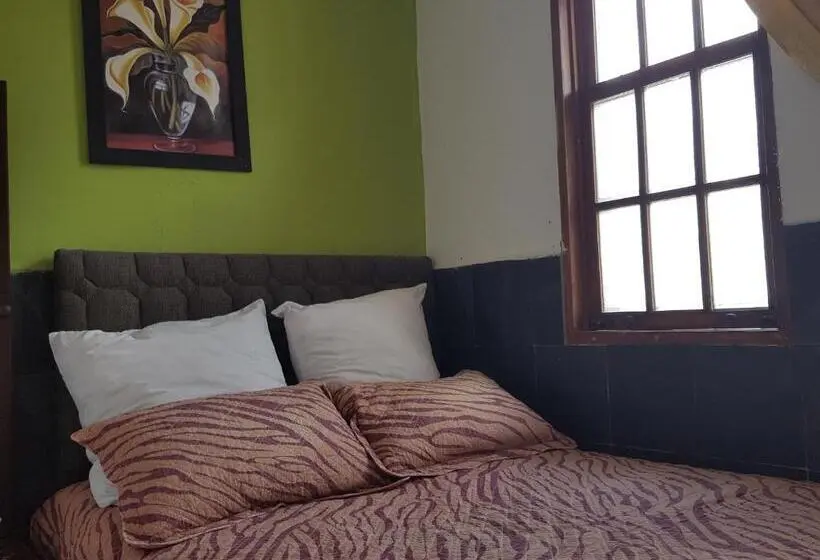 Basic Yhden Hengen Huone, Hostal Del Piamonte