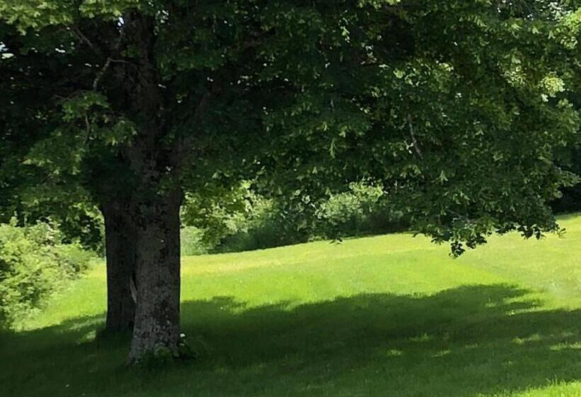 Standard Tent, Weekend En Provence Hébergement Insolite