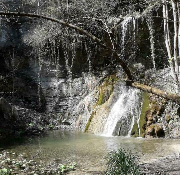 غرفة قياسية ثلاثية, Il Pavone Errante