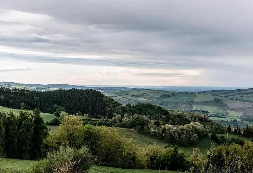 ファミリールーム, Il Pavone Errante