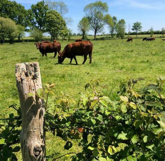 Номер Стандарт, Le Verger