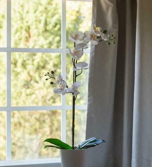 Номер Стандарт, Joensuun Tilan Päärakennus