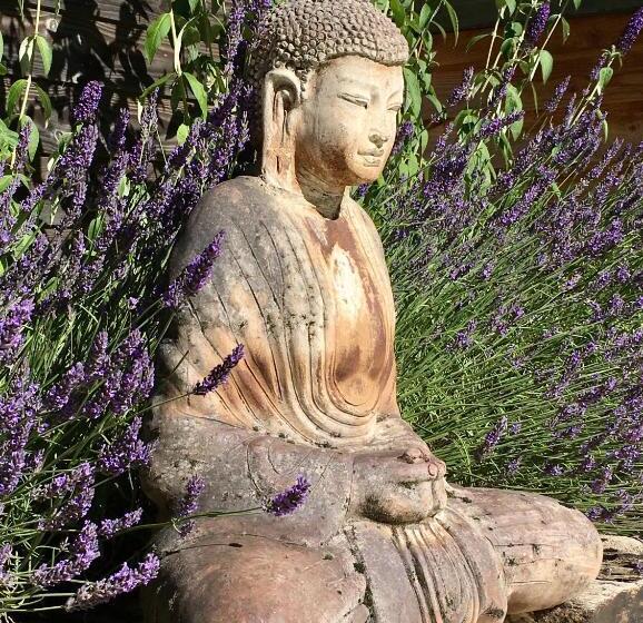 غرفة ديلوكس سرير كينج, Domaine Le Rianon