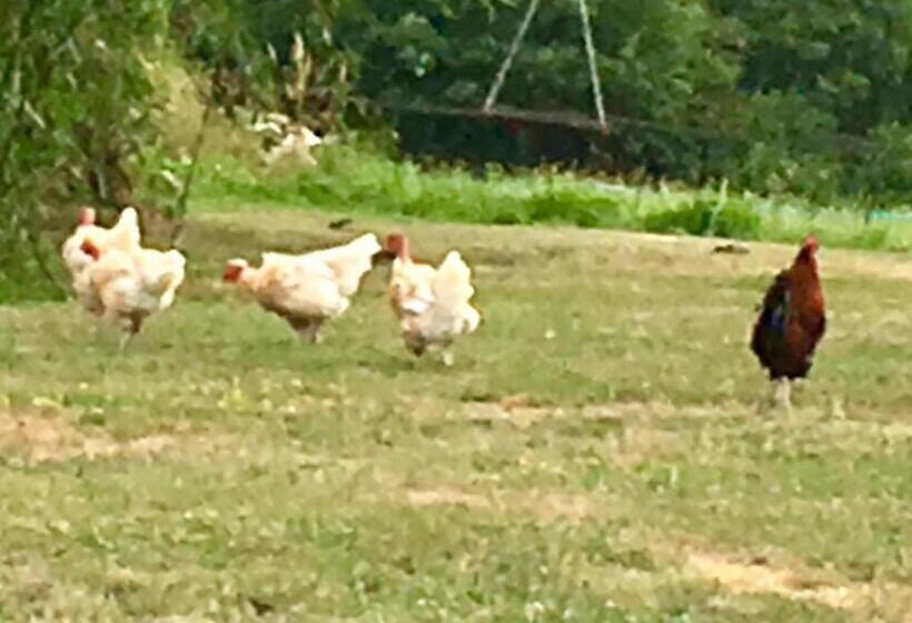 غرفة ديلوكس سرير كينج, Domaine Le Rianon