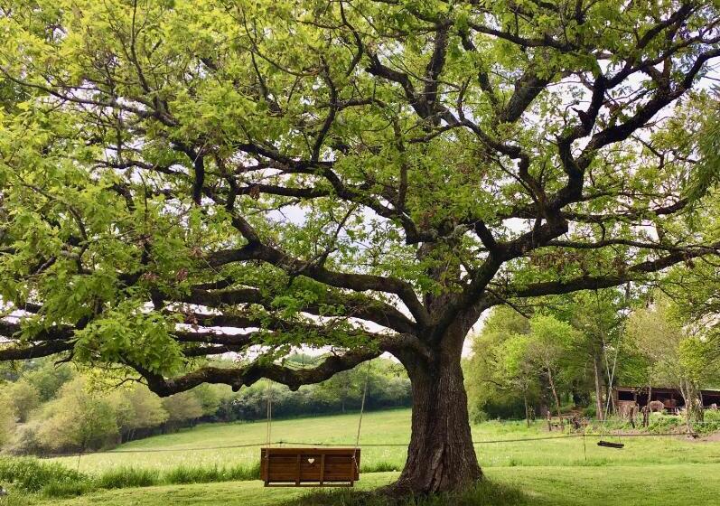 غرفة قياسية, Domaine Le Rianon