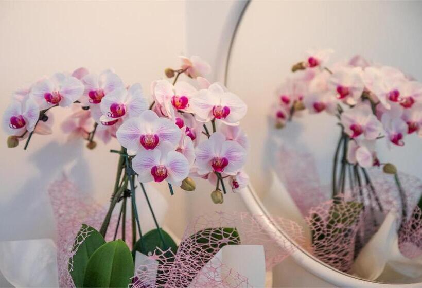 Номер Стандарт Вид на Море, Majestic