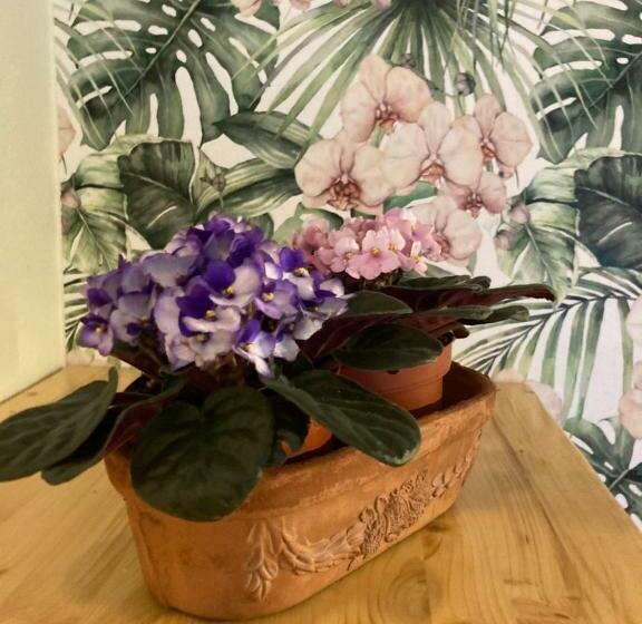 Номер Superior, Locanda Del Borgo