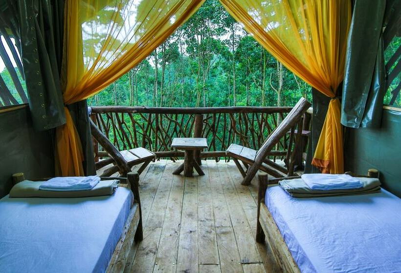 Basic Tent, La Tigra Rainforest Lodge