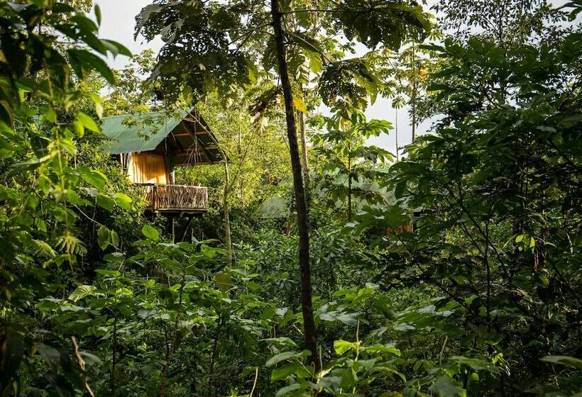 كوخ تقليدي, La Tigra Rainforest Lodge