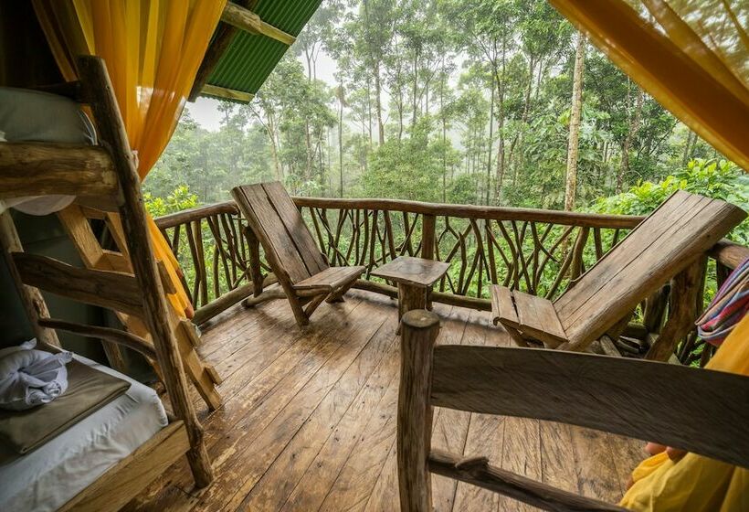 Basic Tent, La Tigra Rainforest Lodge