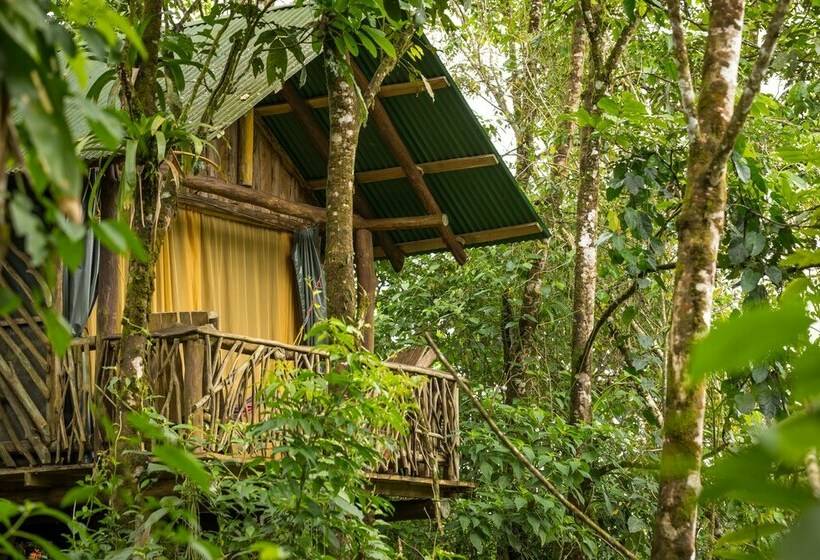 كوخ تقليدي, La Tigra Rainforest Lodge