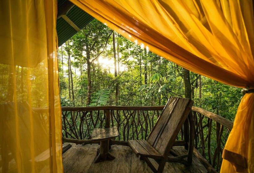 كوخ تقليدي, La Tigra Rainforest Lodge