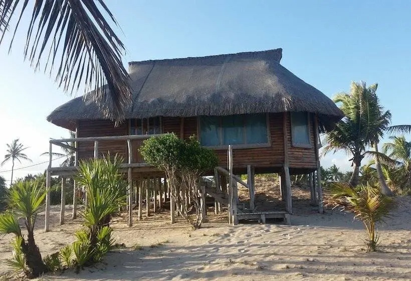 キャビン, Pura Vida Lodge