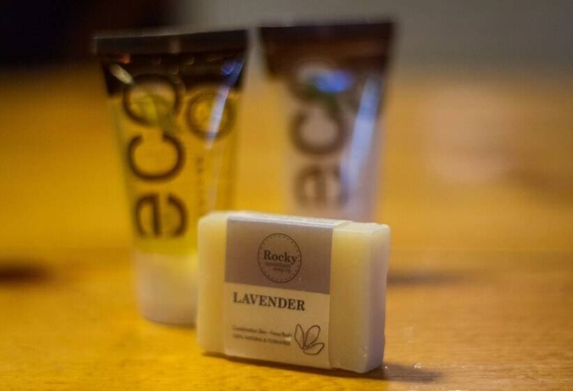 高级工作室, Kootenay Park Lodge