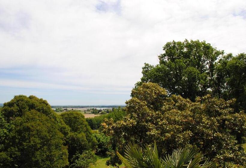 חדר סטנדרט, Chateau Mezger