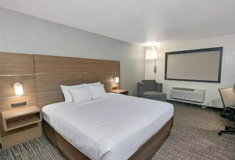 キングサイズベッドのスタンダードルーム, Estherville Hotel & Suites