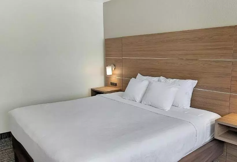身障者適用キングサイズベッドルーム, Estherville Hotel & Suites