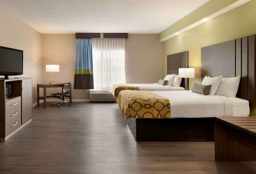 غرفه قياسيه سريرين مزدوجين, Ormond Beach Inn