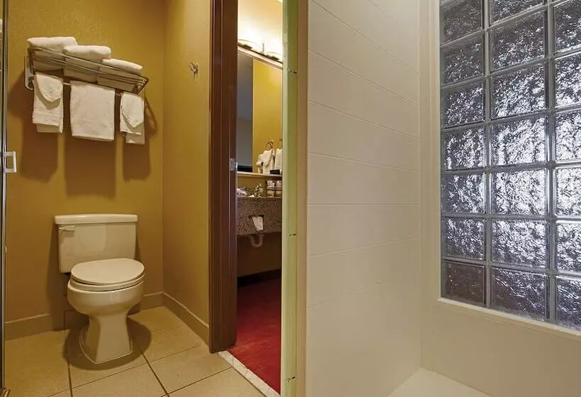 Sviitti, Best Western Plus Tulsa Woodland Hills Hotel And Suites